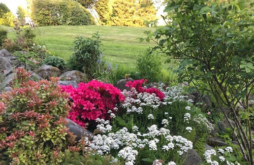 Osoyro Appartement | Villa Moldegaard Apartment