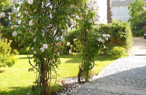 Sassnitz Appartement | Villa Monique in Alt-Sassnitz