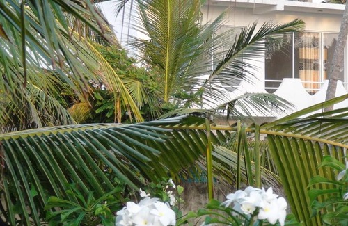 Kammala Maison | Villa Nemo