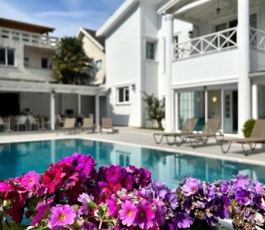 Bayramoglu Mahallesi Hôtel | Villa No 44