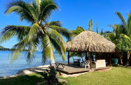 Cook's Bay Villa | Villa Ohana - 4BR Beachfront Villa