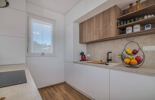 Brzac Villa | Villa Olivetum (Kvarner - Brzac)