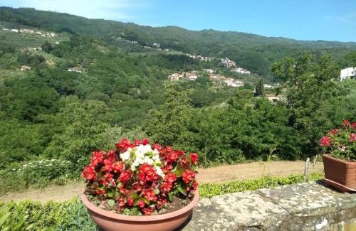 Marliana Appartement | Villa Olivi