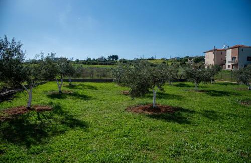 Alexandroupoli Appartement | Villa Olivo