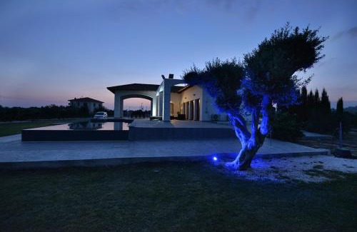 Maroni Villa | Villa Olivo Maroni