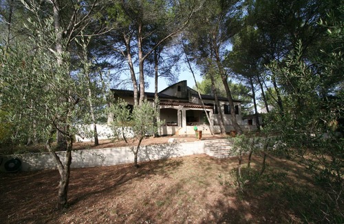 Teyran Villa | Villa dans une pinède située au sommet d'un village méditerranéen
