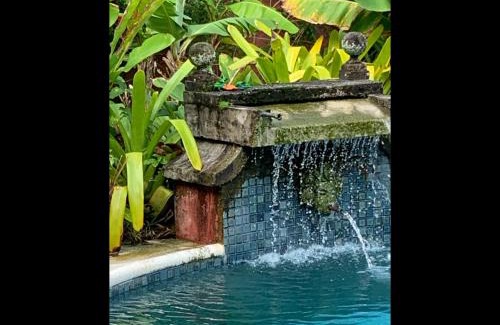 Sao Sebastiao Hôtel | Villa Paradiso Pousada