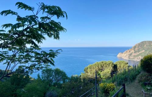 Monterosso al Mare Maison | Villa Pietrafiore