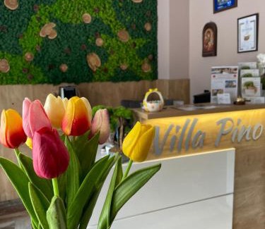 Velingrad Maison | Villa Pino