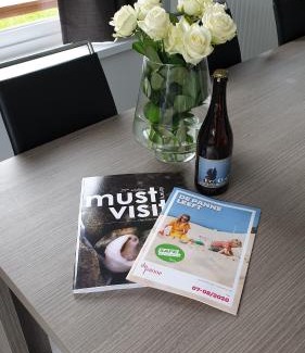 De Panne Maison | villa Pinson