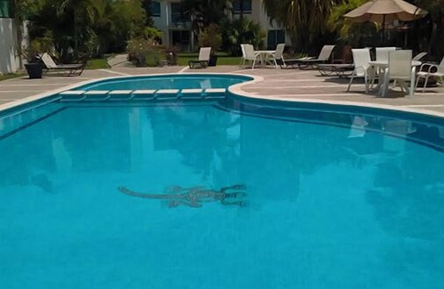 Granjas del Marques Maison | Villa Playa Diamante