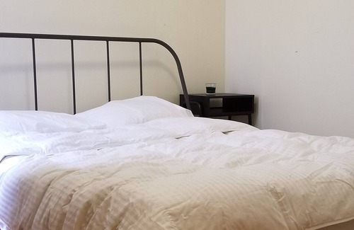 South Slope Appartement | Meubler Qn sz chambre et salle de séjour dans 2 BR apt