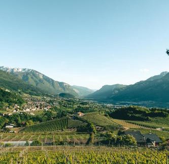 Martignano Appartement | Villa Pruner