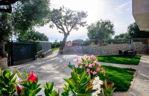 Pisciotta Villa | Villa Rosa Cilento entourée d'oliviers