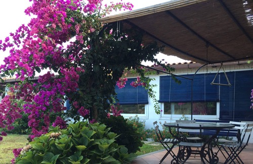 Pianoconte Villa | Villa Rosa dei Venti 2