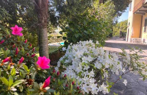 Lesa Appartement | Villa Santa Chiara Lesa - appartamento vista lago con piscina