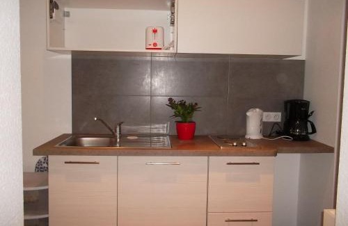 Orangerie Appartement | Villa Schiller, 2 studios côté jardin - quartier Orangerie
