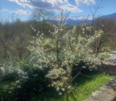 Burolo Appartement | Villa Sigerico apartment