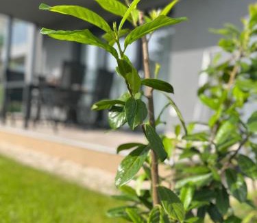 Siofok Appartement | Villa Silver Side