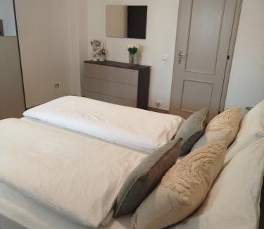 Baselga di Pine Appartement | Villa Silvestre, appartamento Solagn