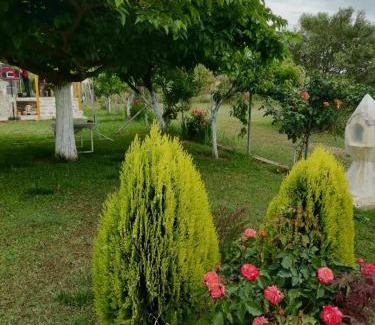 Pangaio Maison | Villa Sophie