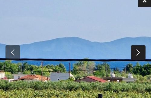 Pangaio Maison | Villa Sophie
