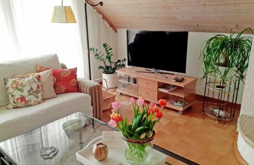 Bosingfeld Appartement | Villa Stephan