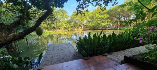 Binh Thuy Appartement | Villa THỦY NGUYÊN