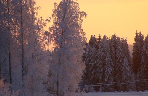 Nilsia Maison | Villa Tiirinkallio