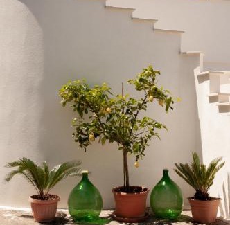 Castellana Grotte Appartement | Villa Tra i Pini - Green & Relax