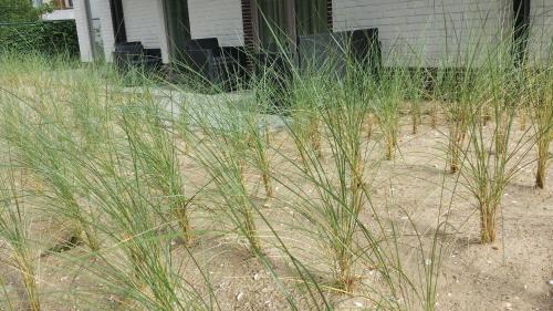 De Panne Maison | Villa Vindina