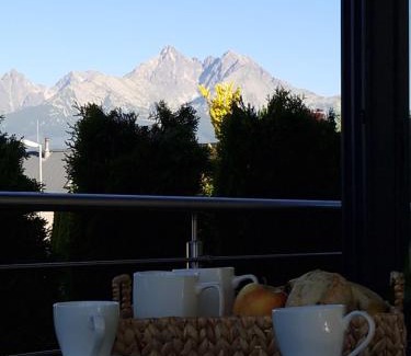 Velka Lomnica Appartement | Villa Vista Tatry