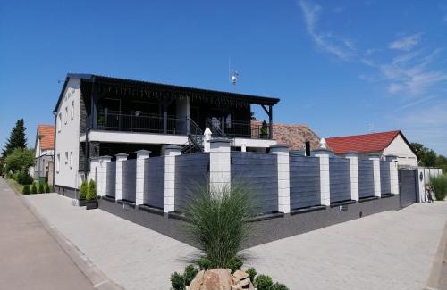 Hrusovany nad Jevisovkou Maison | Villa Wine House
