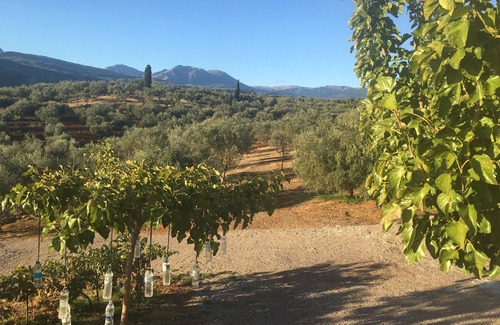 Aigio Villa | Villa avec vue imprenable sur la mer et la campagne