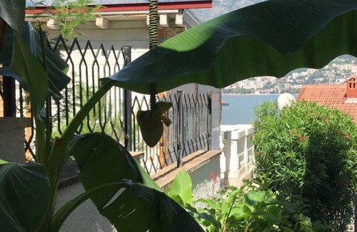 Igalo Villa | Villa avec vue mer sur la côte sud-ouest de Herceg Novi en baie de Kotor