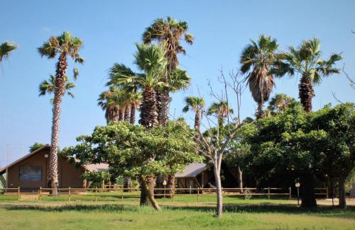 Petrosino Autre | Village Glamping Biscione
