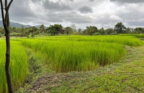 Dambulla Cabine | Village Verandah by Oshi