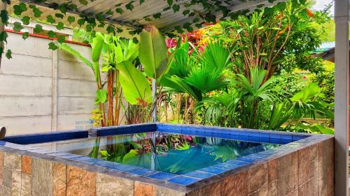 Puerto Viejo de Talamanca Cabine | Villas Cozy Sloth