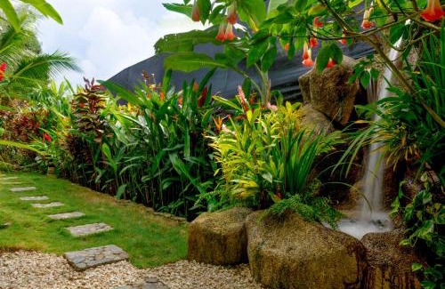 Manuel Antonio Lit Et Petit-Déjeuner | Villas Oasis