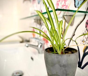 Chipiona Appartement | Villasultana 1