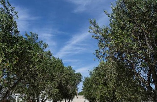 Lecce Appartement | Villetta dei Nespoli |SITCase