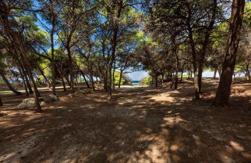 Rivabella Appartement | Villetta Lido La Pineta by BarbarHouse