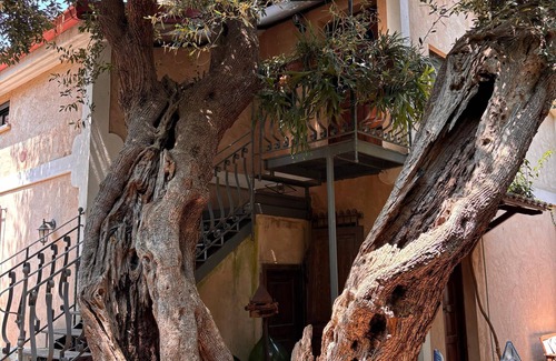 Marina Di Camerota Appartement | VILLINO TROCCOLI, Alice Apartment