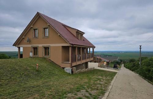 Prietrzka Villa | Vinársky dom u kríža
