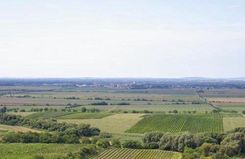 Velke Bilovice Maison | Vinařský penzion Přední Hora
