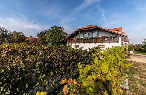 Mikulcice Maison | Vinařství Výmola