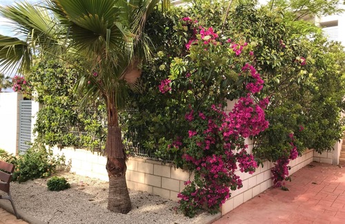 San Jorge Appartement | Vinaros: apartment with large terrace and garden