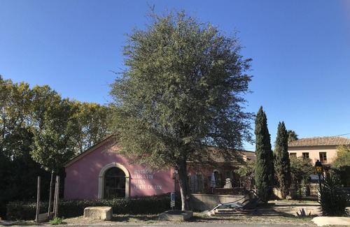 Poilhes Appartement | Vinauberge - Gîte Syrah: Avec terrasse et jardin entre Canal du Midi & Vignoble