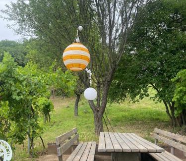 Kaptalantoti Appartement | Vine Cottage