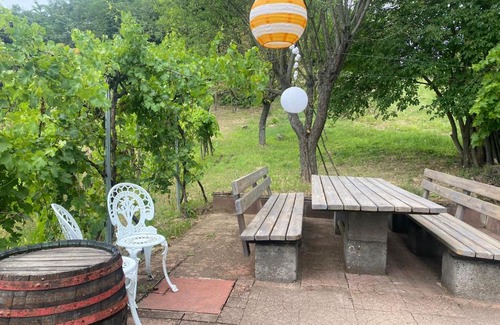 Kaptalantoti Appartement | Vine Cottage